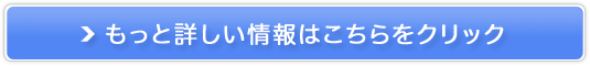 Aj CX`[NWOIC̔TCg